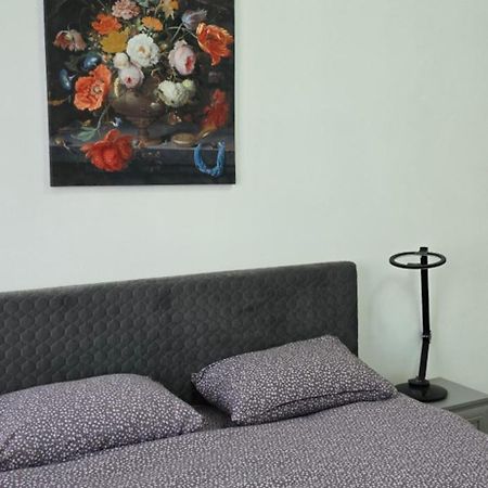Appartamento Casa Grande Făgăraş Esterno foto